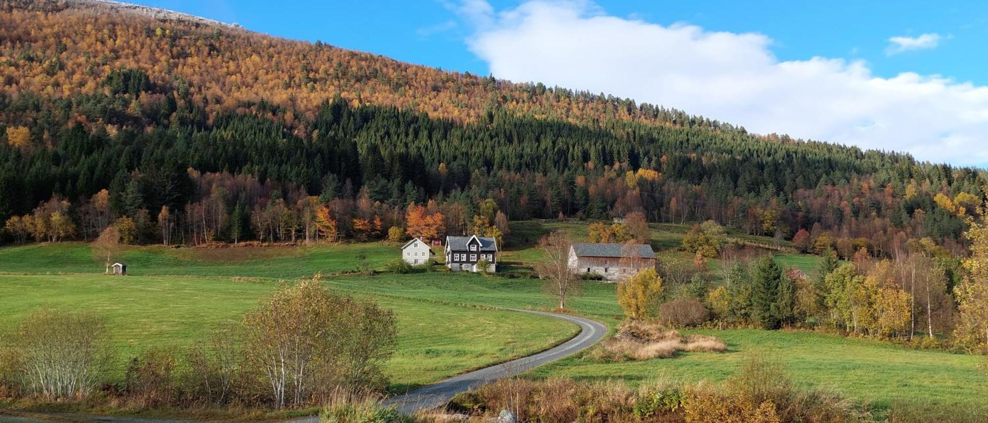 Øygarden i Heggjabygda Villa Nordfjordeid Eksteriør bilde